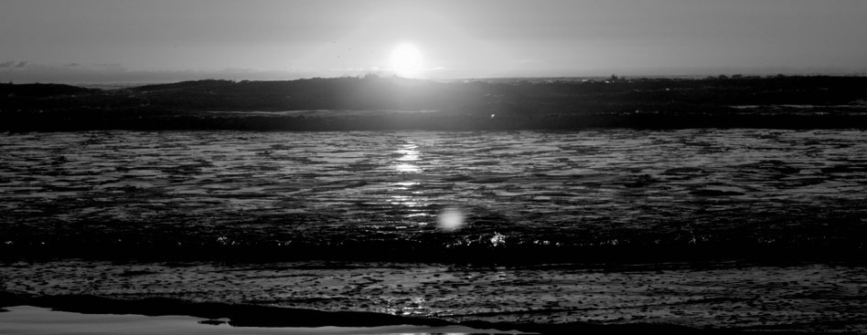 短信验证码轰炸平台免费